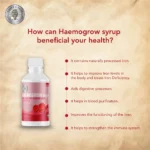 Haemogrow Syrup - Image 5