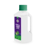 Karela Jamun Juice