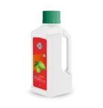 Noni Gold with Giloy and Amalaki Syrup